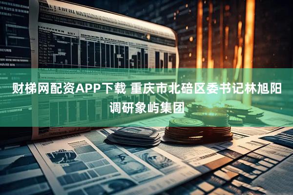 财梯网配资APP下载 重庆市北碚区委书记林旭阳调研象屿集团