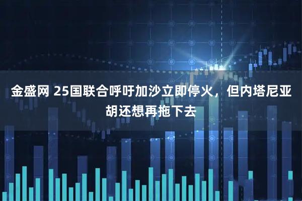 金盛网 25国联合呼吁加沙立即停火，但内塔尼亚胡还想再拖下去